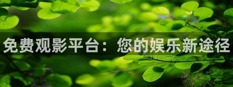 秋霞影院电视剧在线观看