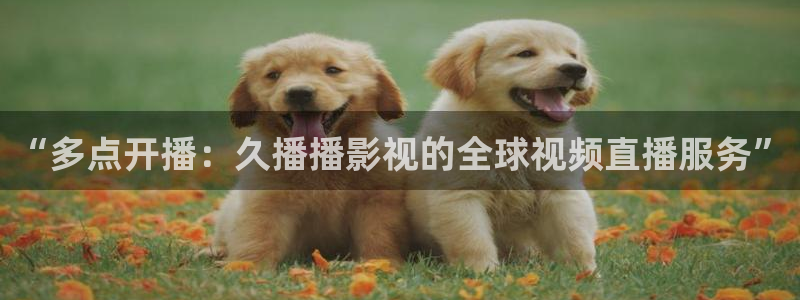 神马我不卡秋霞影院