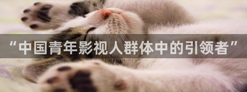 秋霞电影网院午夜