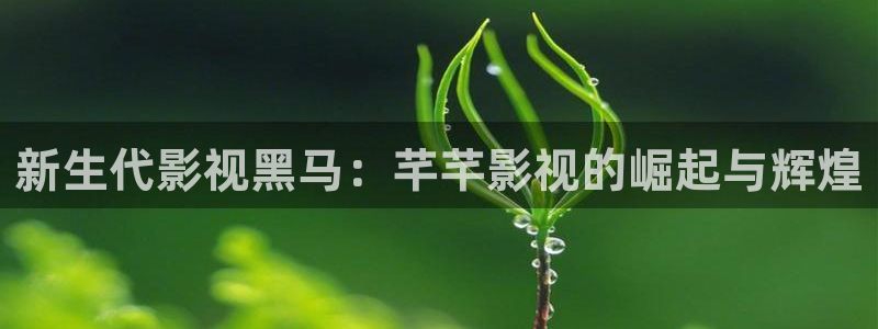 秋霞在线电影：新生代影视黑马：芊芊影视的崛起与辉煌