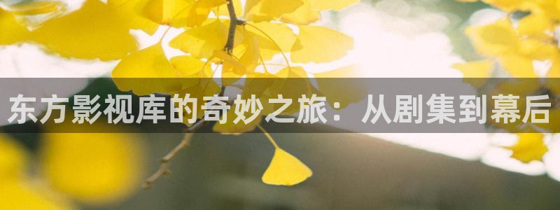 秋霞影视一区二区：东方影视库的奇妙之旅：从剧集到幕后