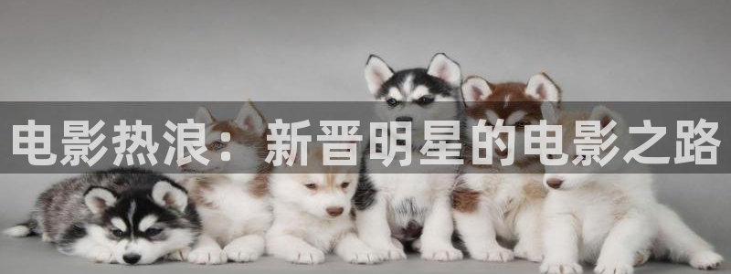 97秋霞电影院：电影热浪：新晋明星的电影之路